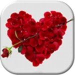 valentines day live wallpaper android application logo